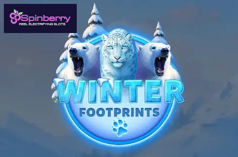 Winter Footprints